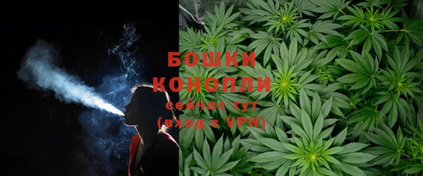 таблы Новодвинск