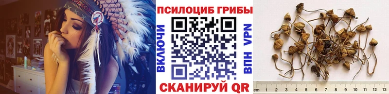 купить закладку  ОМГ ОМГ ТОР  Псилоцибиновые грибы GOLDEN TEACHER  Калязин 